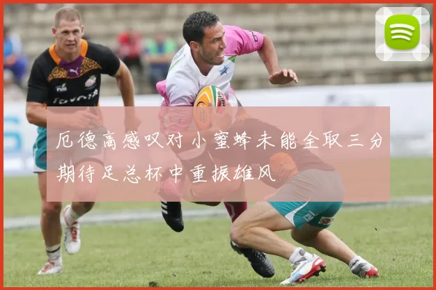 厄德高感叹对小蜜蜂未能全取三分期待足总杯中重振雄风
